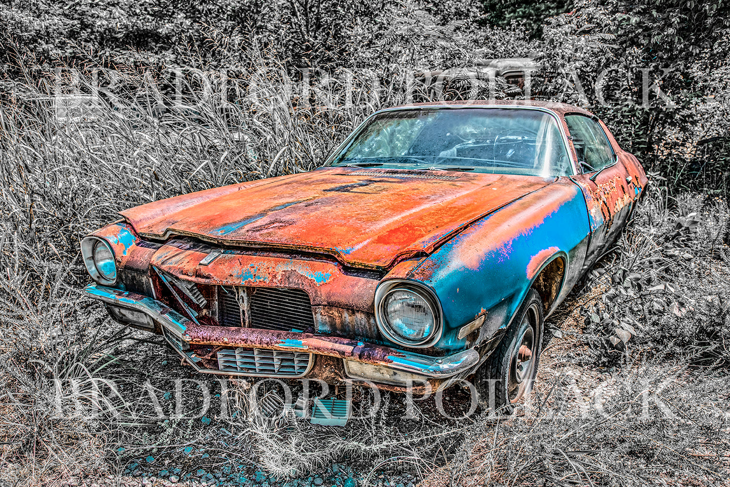 1971 Camaro Classic Car Chevy HDR Junkyard Photography Art Print