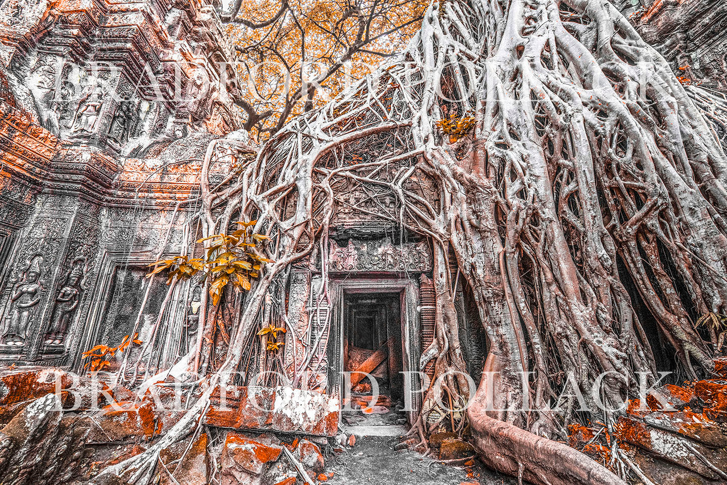 Cambodia Jungle Temple "The Time Machine" Print