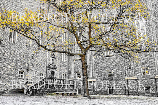 Stockholm Courtyard and Coffee Shop Sweden Print