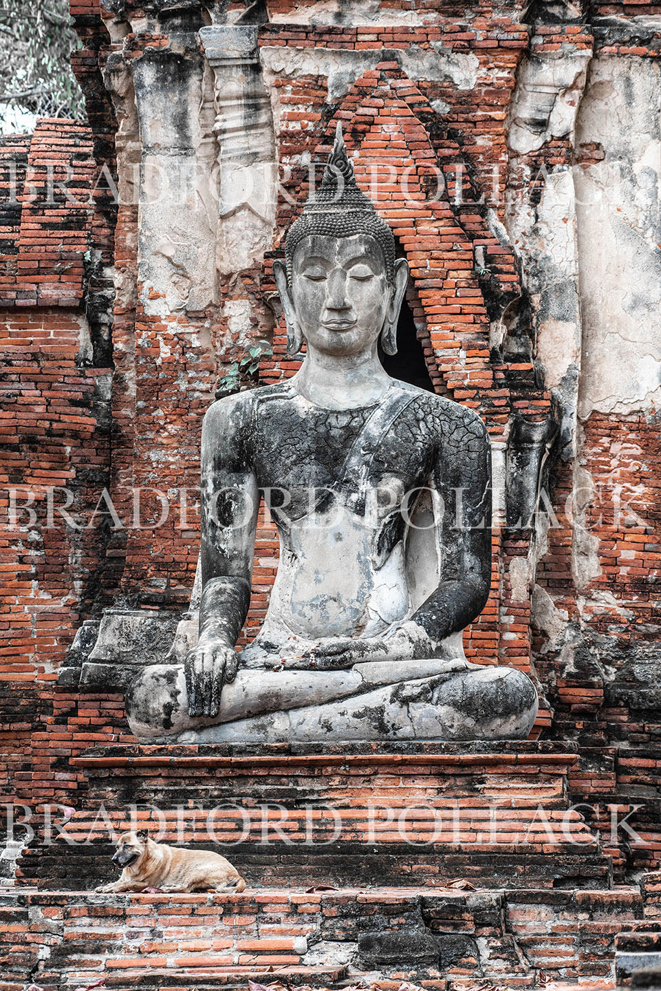 Buddha with Dog Thailand Print