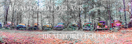 Cadillac Dream Forest Colorful Old Car Junkyard Panorama Art Print