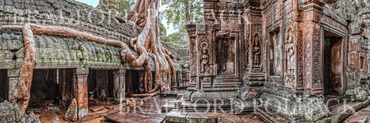 Cambodia Temple Panorama Print