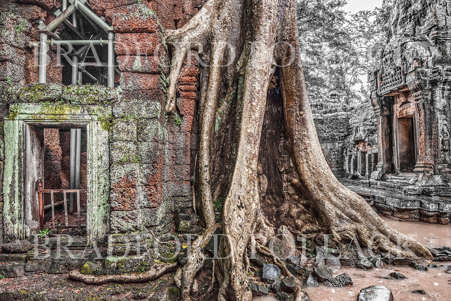 Cambodia Ancient Temple "The Dwelling" Tree among Ruins HDR Fine Art Photography Print