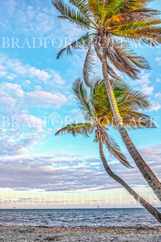Key West Twin Palm Trees Tropical Florida Print