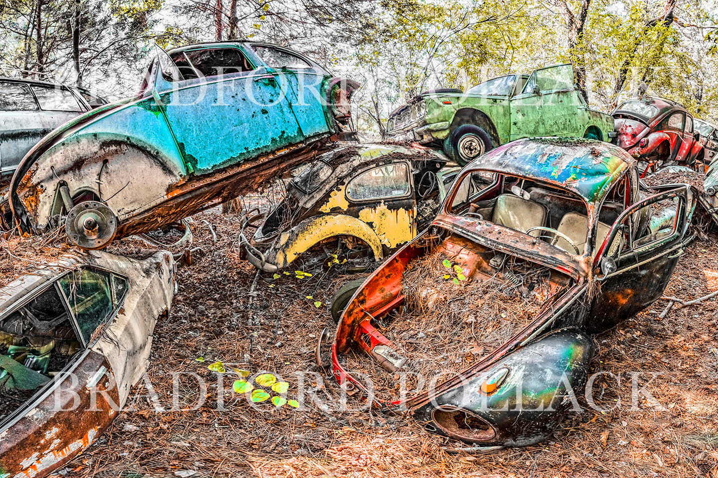 Beetle Forest Classic Car VW Art Print