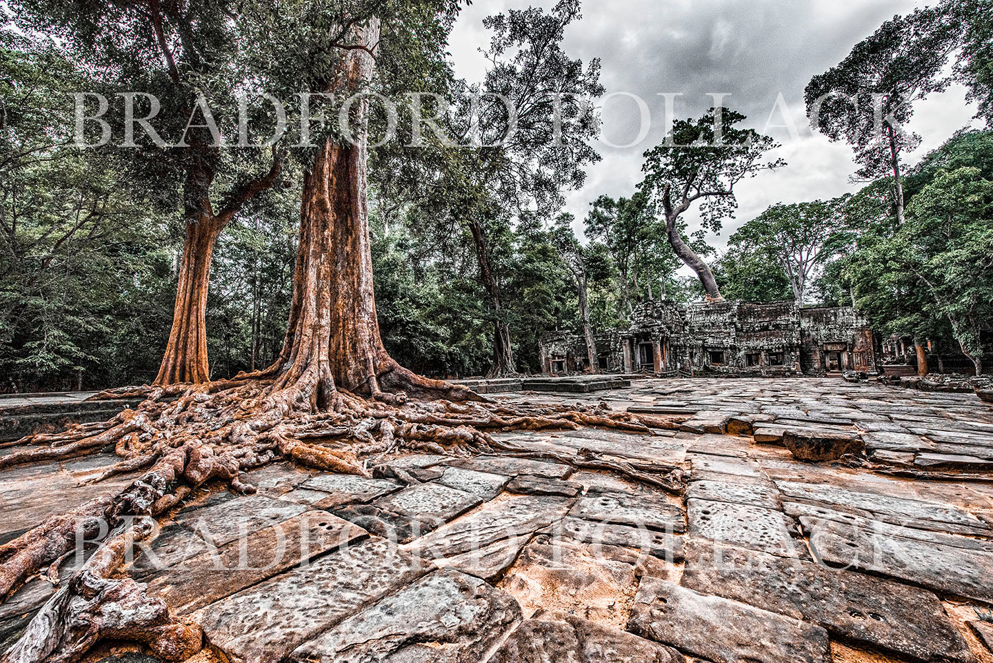 Cambodia Ancient Temple Ruins "Lost City" HDR Nature Fine Art Photography Print