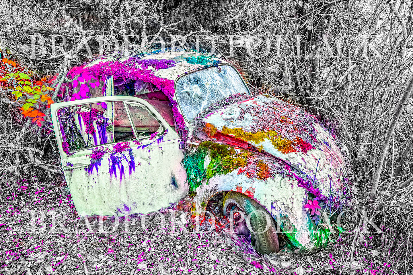 Magic Beetle Classic Car Sweden Art Print