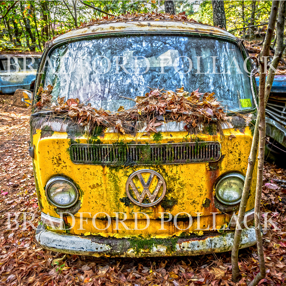 Yellow Bus Georgia Junkyard Old Van Art Print